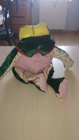 Bidouille, la grenouille