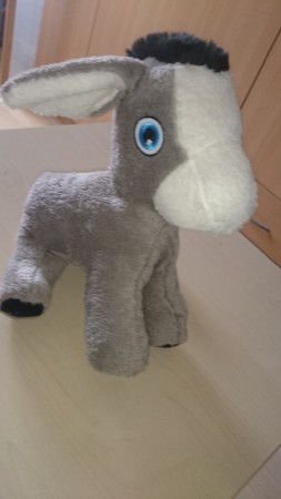 titouane, le petit âne