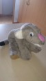 /album/animaux-and-co/dsc-0516-jpg/