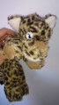 /album/animaux-and-co/dsc-0530-jpg/